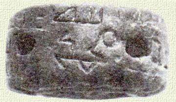 Cretula segnalata da David Hallaq