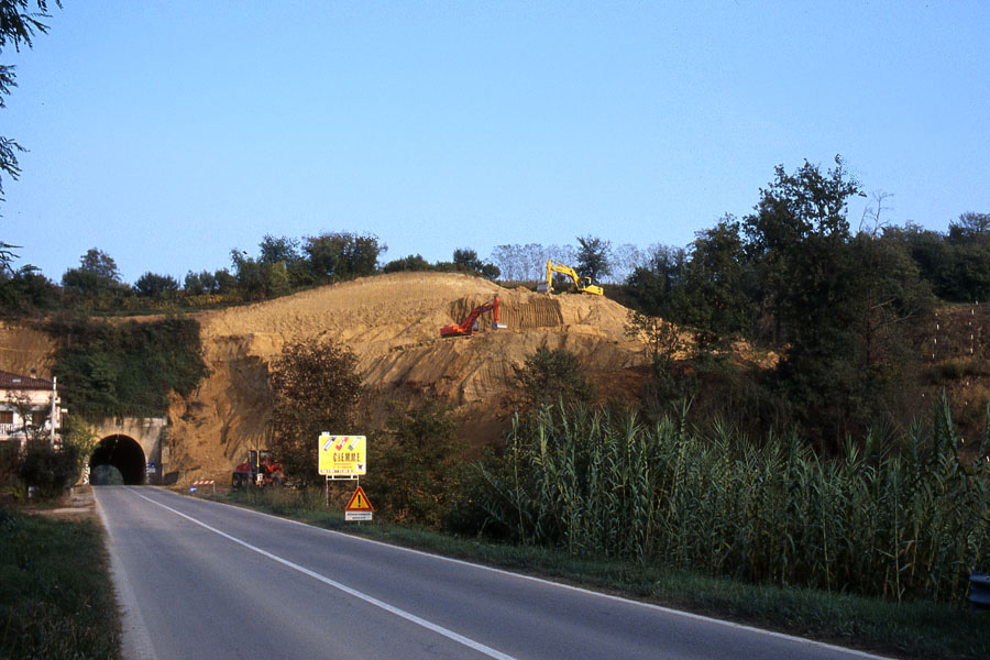La vigna del Bricco
