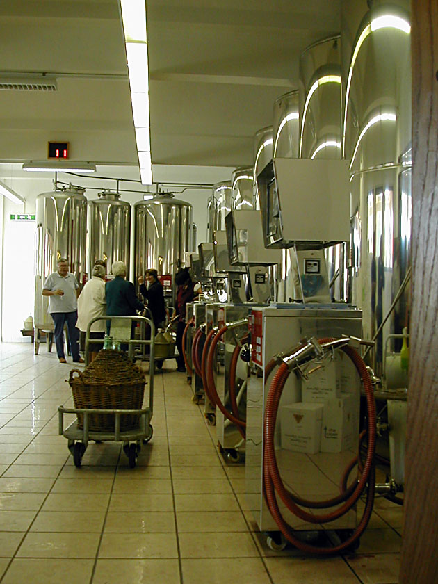 Cantina sociale Terre dei Santi