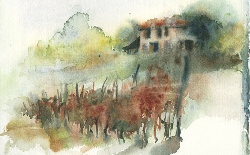 Gli acquarelli di Luisella Cottino