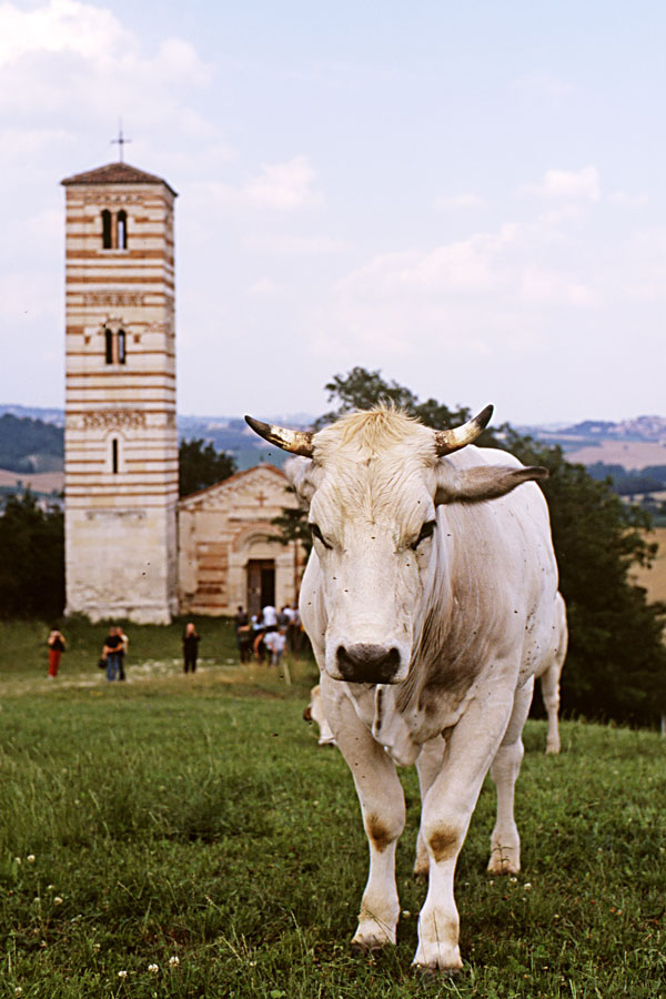 Santi Nazario e Celso a Montechiaro