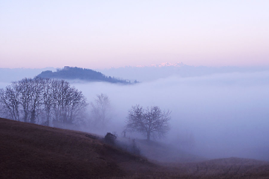Nebbia in pianura
