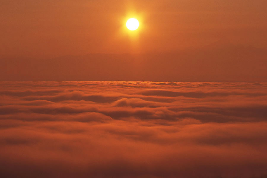 Nebbia in pianura