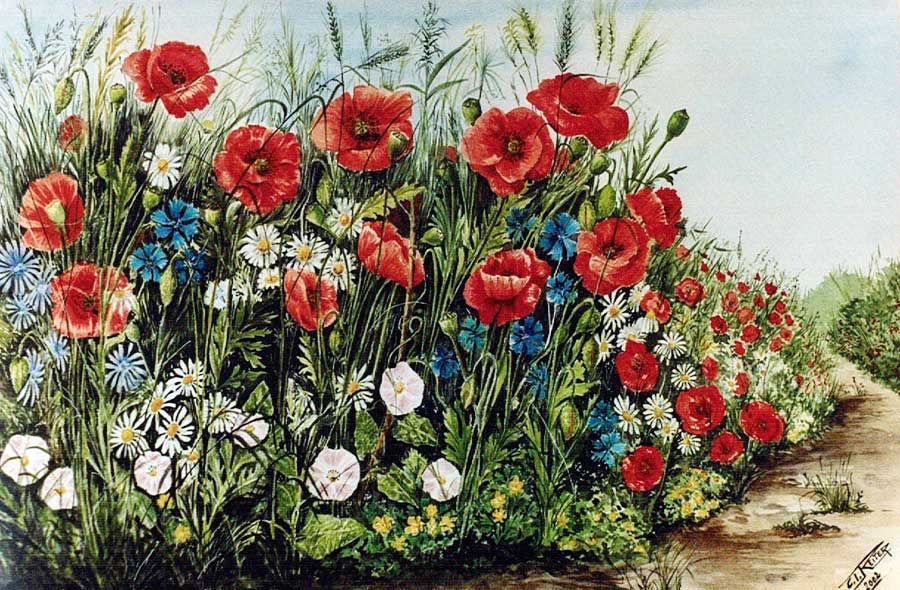 Cristiana Ilic' Reiter
