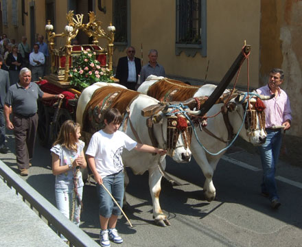 Santi giulilano e Basilissa, processione